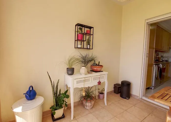 Vacation In Apartamento